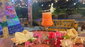 Chalet Tropical Village B&B