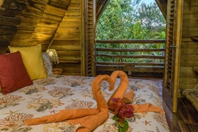 Chalet Tropical Village B&B