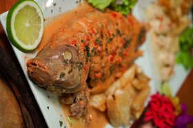 Chalet Tropical Village B&B