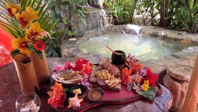 Chalet Tropical Village B&B