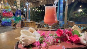 Chalet Tropical Village B&B