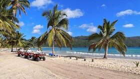 Chalet Tropical Village B&B