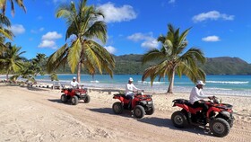 Chalet Tropical Village B&B