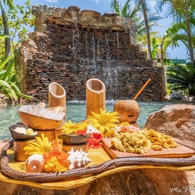 Chalet Tropical Village B&B