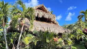 Chalet Tropical Village B&B