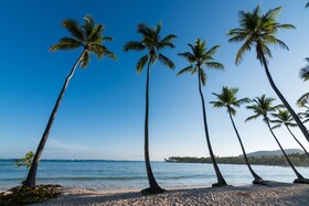 Wyndham Alltra Samana