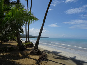 Coson Bay Hotel & Residences