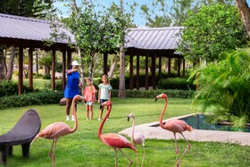 Dreams La Romana Resort & Spa