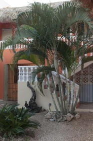 Hotel Playa Catalina