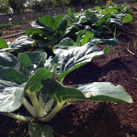 Hotel Vecchia Caserma