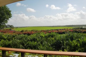 Los Altos Residences