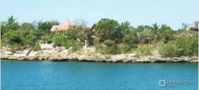 Reina Cumayasa