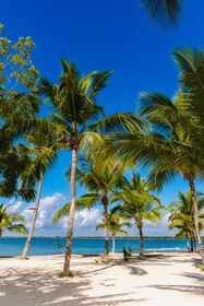 Villa Real Playa Nueva Romana