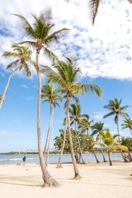 Villa Real Playa Nueva Romana