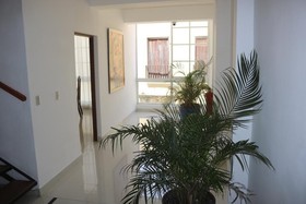Cataleya
