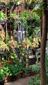 Hotel Class Colonial