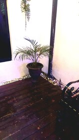 Tobiah Casa Reyes