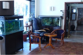 Hotel Timgad