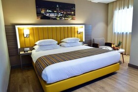 Hotel Tulip Inn Naya