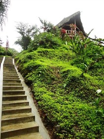 Suchipakari Jungle Lodge