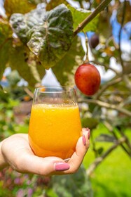 Luna Runtun Adventure Spa