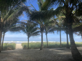 Canoa Oasis