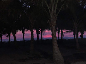 Canoa Oasis