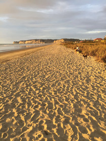 Canoa Oasis