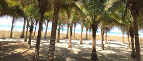 Canoa Oasis