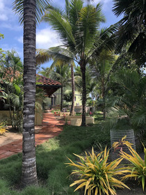 Canoa Oasis