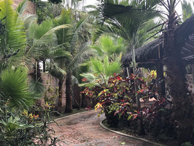 Canoa Oasis