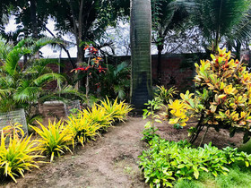Canoa Oasis