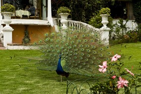 La Mirage Garden Hotel & Spa