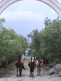 Hacienda La Cienega