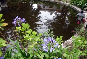 Hacienda La Cienega