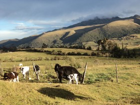 Hacienda Santa Ana
