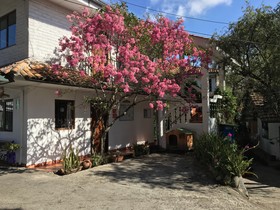 Apartamentos Otorongo