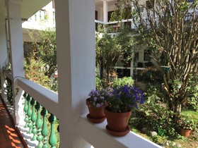 Apartamentos Otorongo
