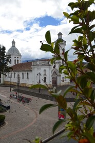 Azul de La Plaza Hotel
