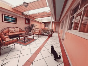 Hotel Chat Noir