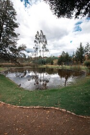 Killary Lodge