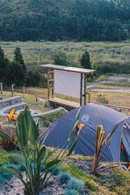 Killary Lodge