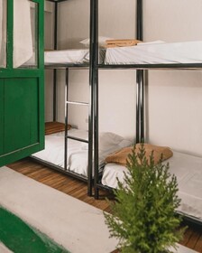 Wild Monkey Hostel