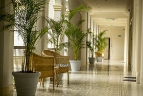 Hotel del Parque