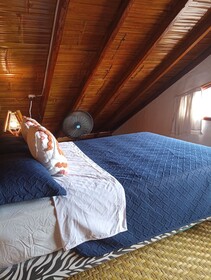Hostel Sole Mare