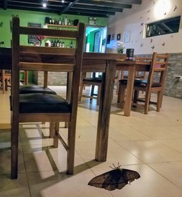 Las Terrazas De Dana