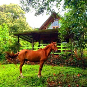 Mindo Eco Chalet