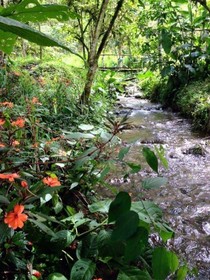Mindo Eco Chalet