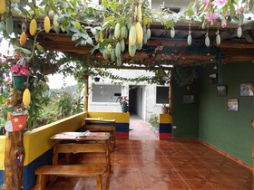 Green House Araque Inn