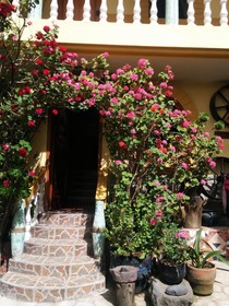 Hostal Curiñan
